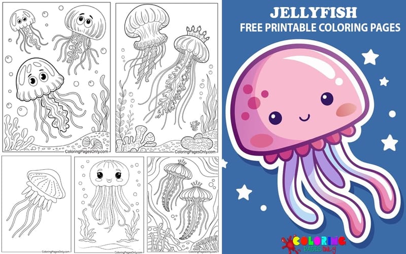Jellyfish