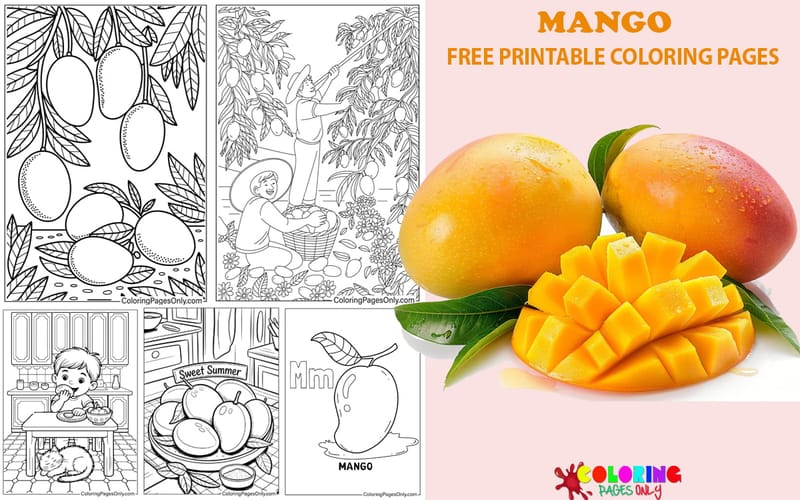 Mango