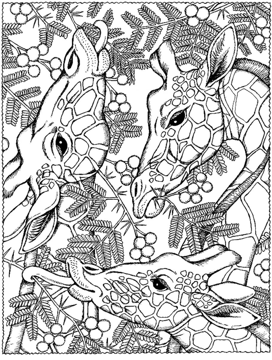 Giraffe Coloring Pages