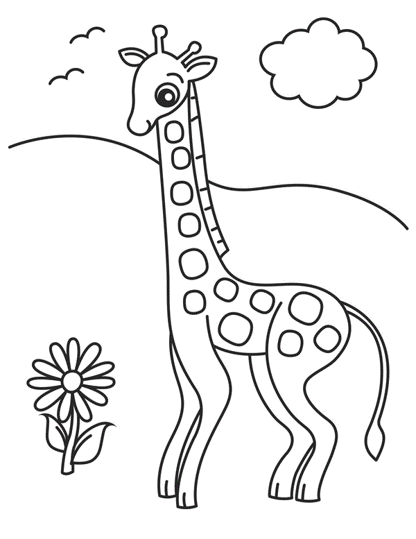 Giraffe Coloring Pages