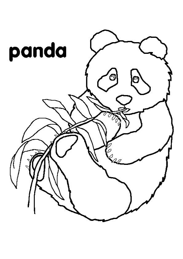 Раскраски Панда