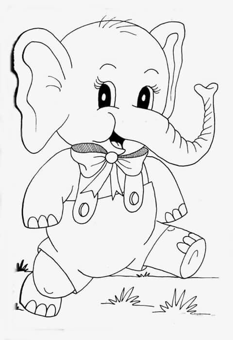 Elephant Coloring Pages