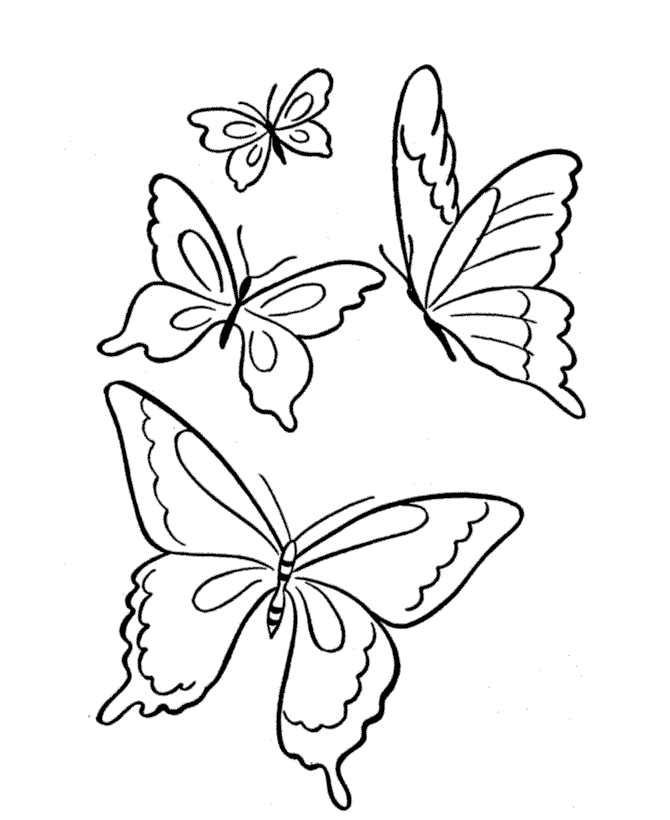 Ausmalbilder Schmetterlinge