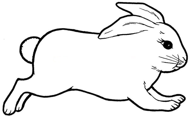 Rabbit coloring pages