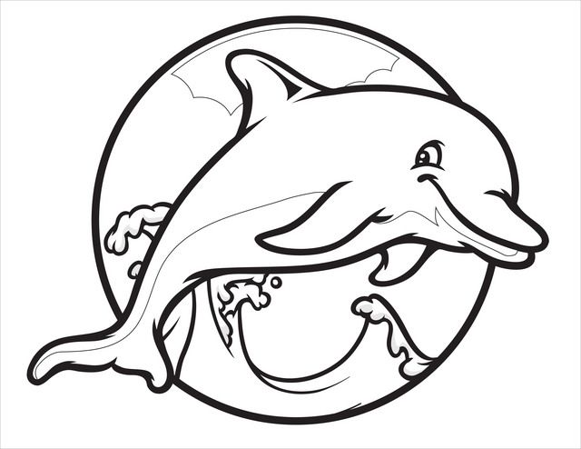 раскраски дельфин