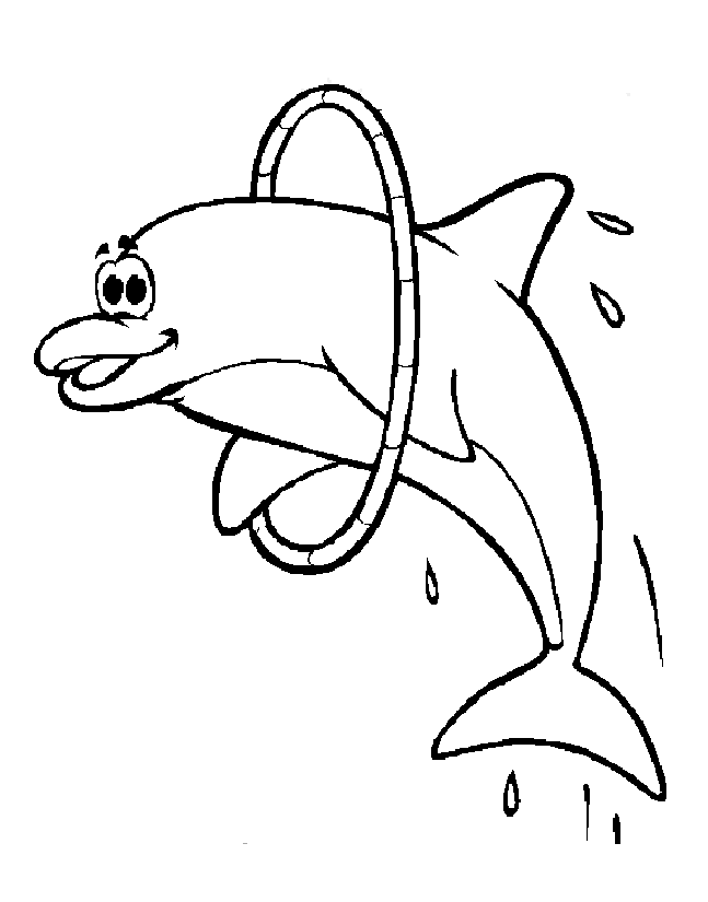 раскраски дельфин
