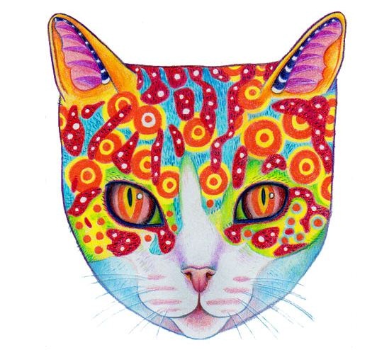 How to draw a colorful cat?