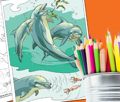 Animal coloring pages bring the colorful world to kids