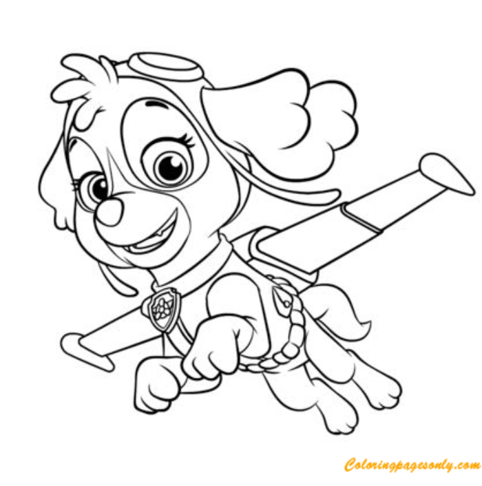 Paw Patrol coloring pictures