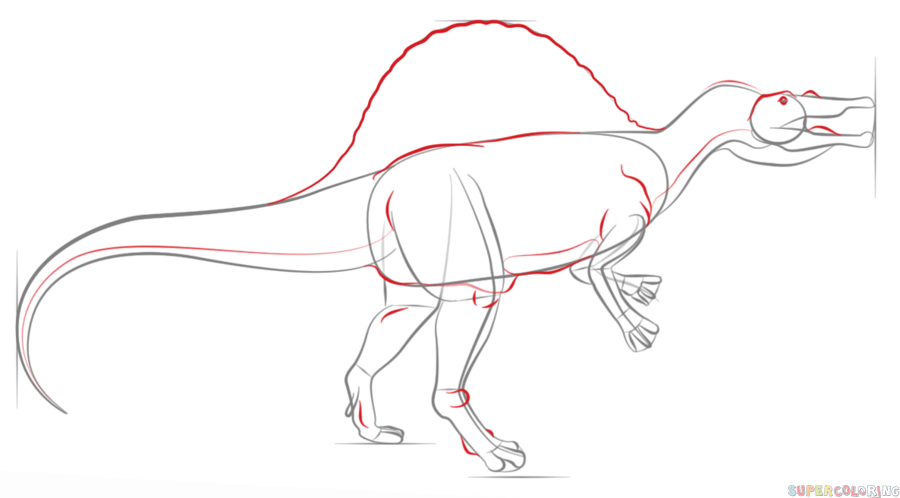 How To Draw A Spinosaurus Draw Tutorials Coloringpagesonly Com
