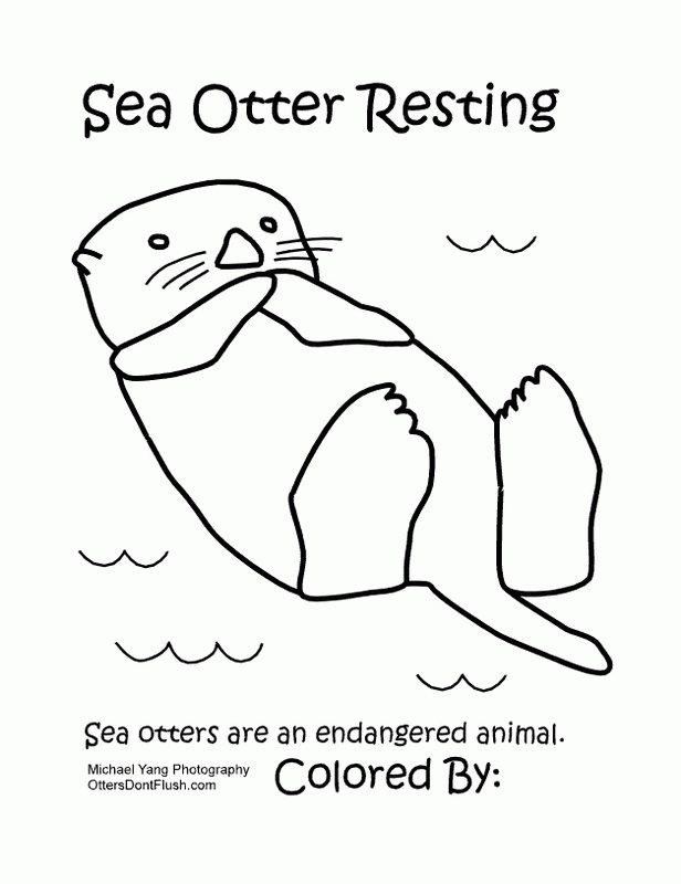 Siehe Otter, der sich von Otter ausruht