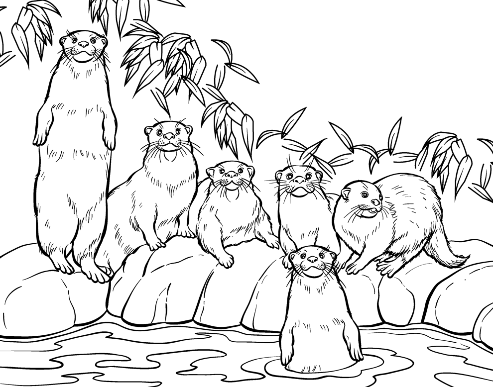 Otter in Zoo Coloring Page