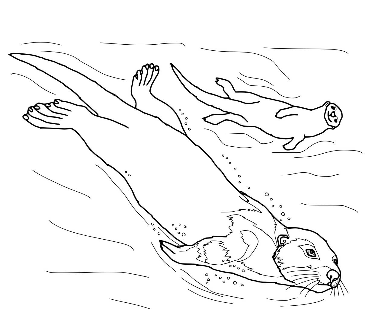 Sea Otter in Real Life Coloring Page