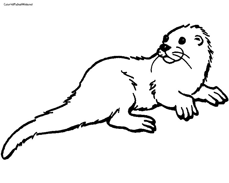 Seeotter von Otter