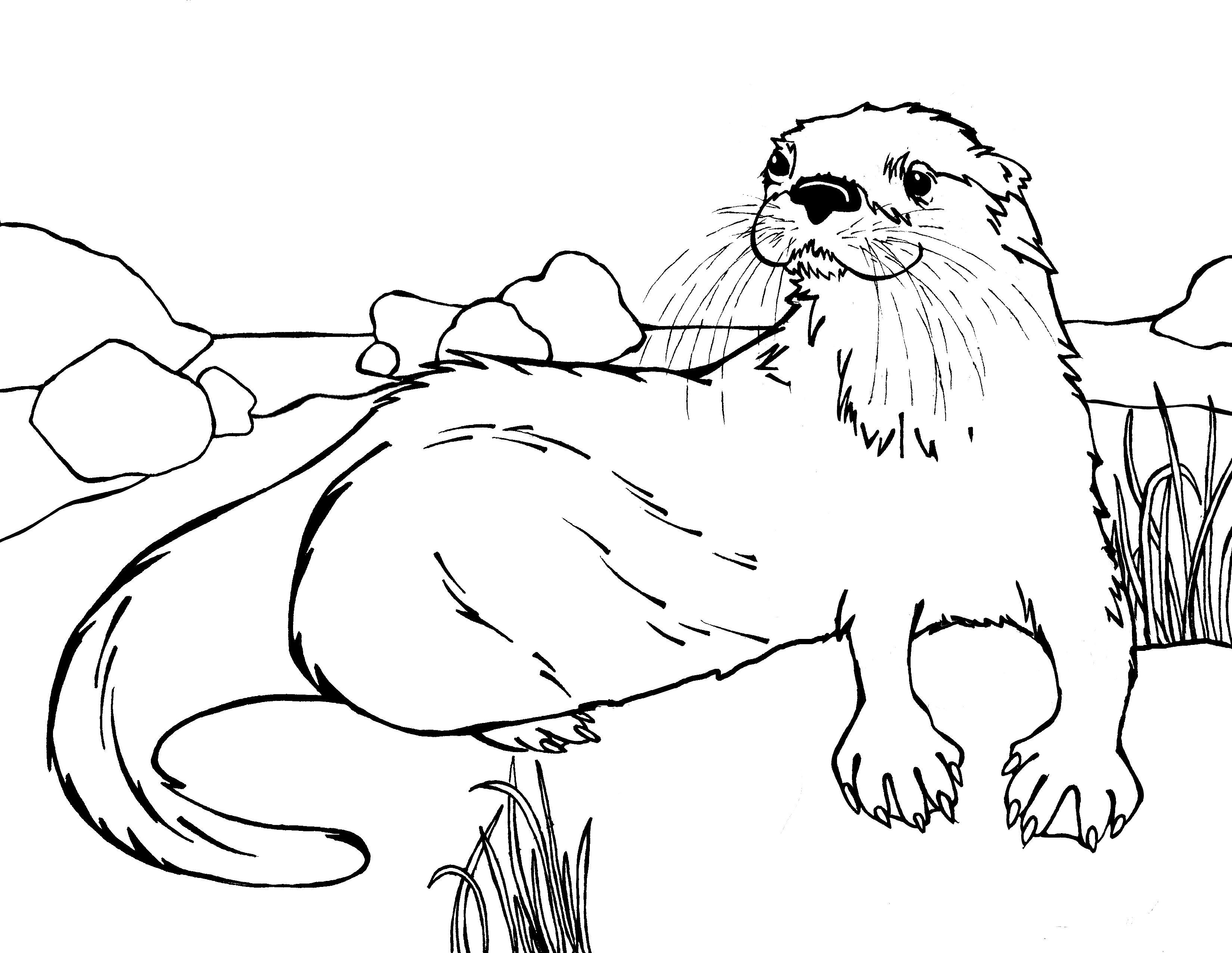 River Otter Coloring Pages