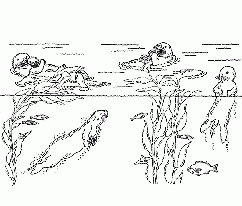 Seeotter unter Wasser von Otter