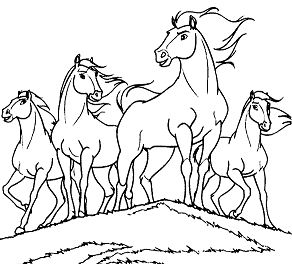 Marvelous Wild Horse Coloring Pages