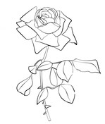Rose Coloring Coloring Pages