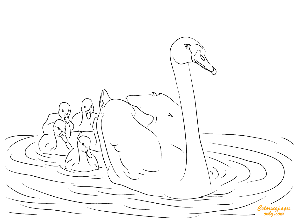 Swan And Babies Coloring Pages Birds Coloring Pages Coloring Pages For Kids And Adults