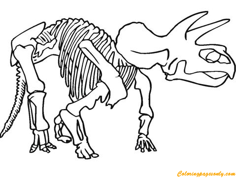 Seuls les os restants de divers. Dinosaures