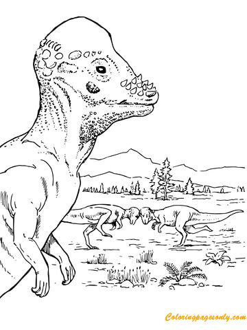 Dinosaure Pachycéphalosaure des dinosaures ornithischiens