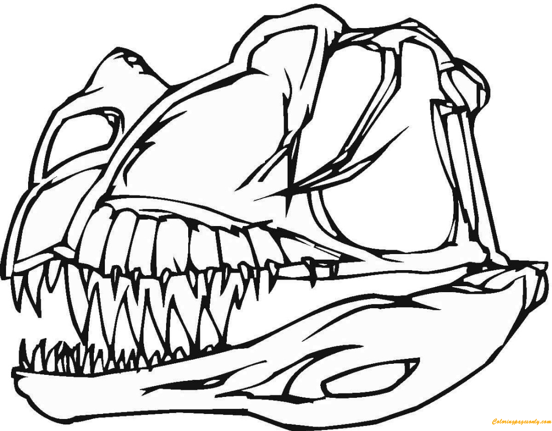 عظام الديناصورات من متنوعة. الديناصورات