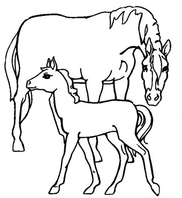 A Barbie Horse and Pony Coloring Page