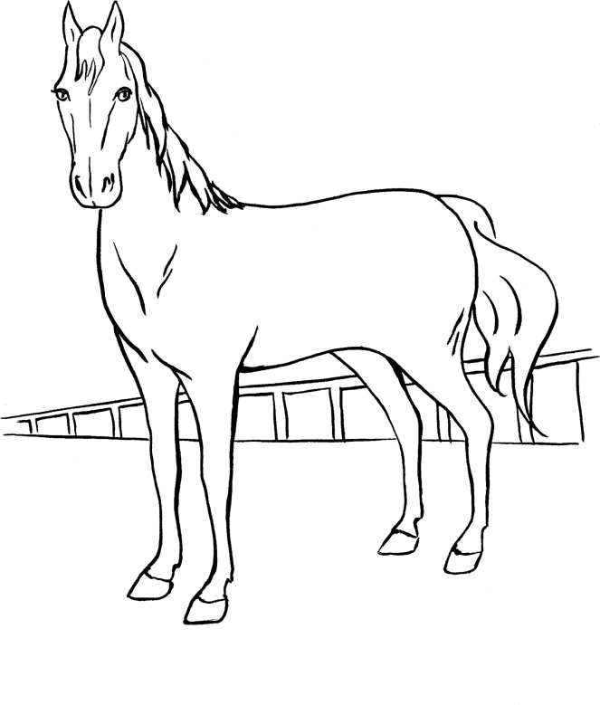 A Barbie Horse with horsehair Coloring Page