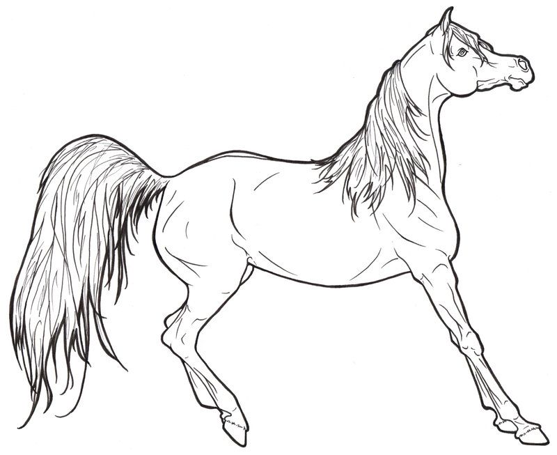 A Barbie Horse from Barbie Horse