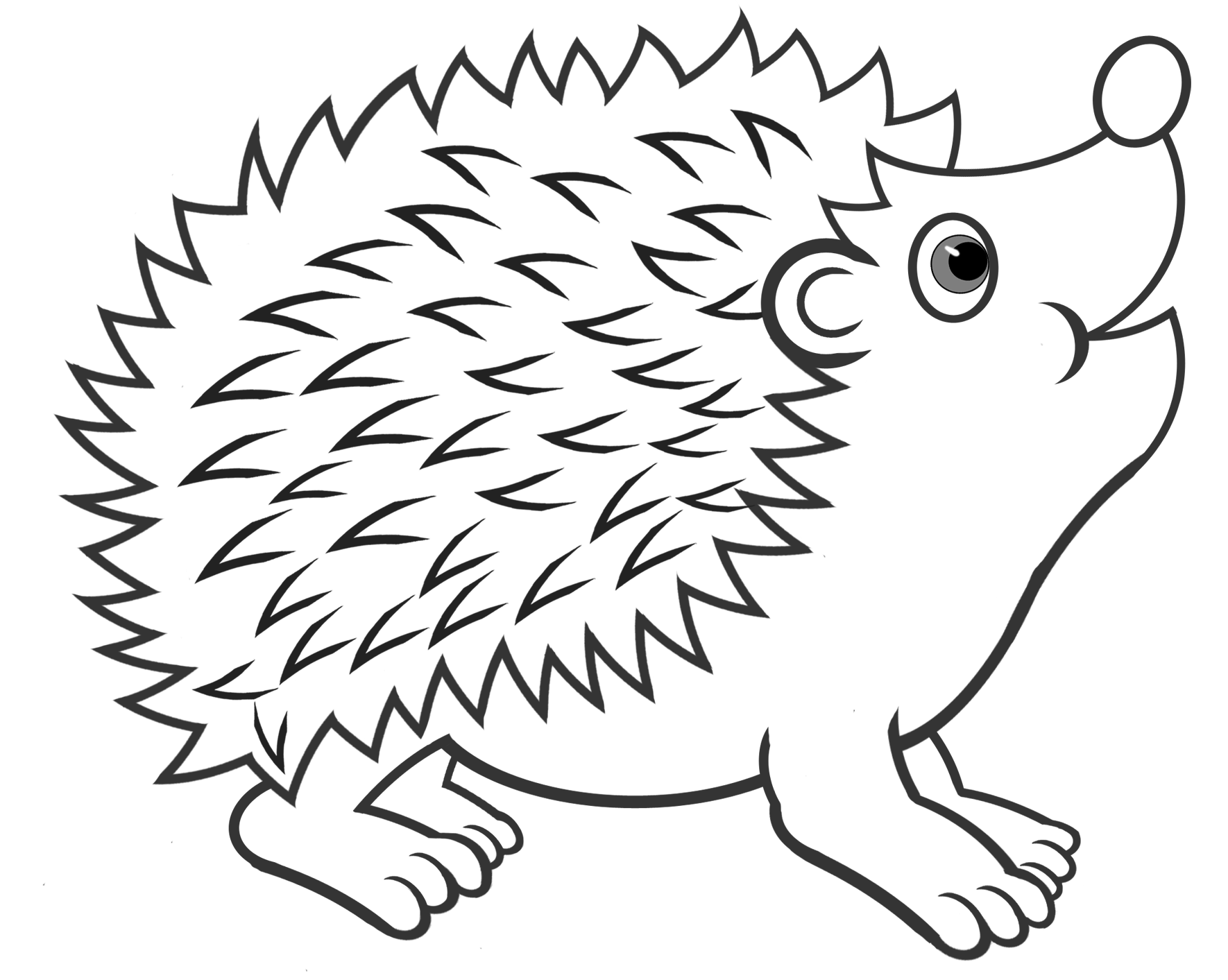 A Hedgehog Coloring Pages