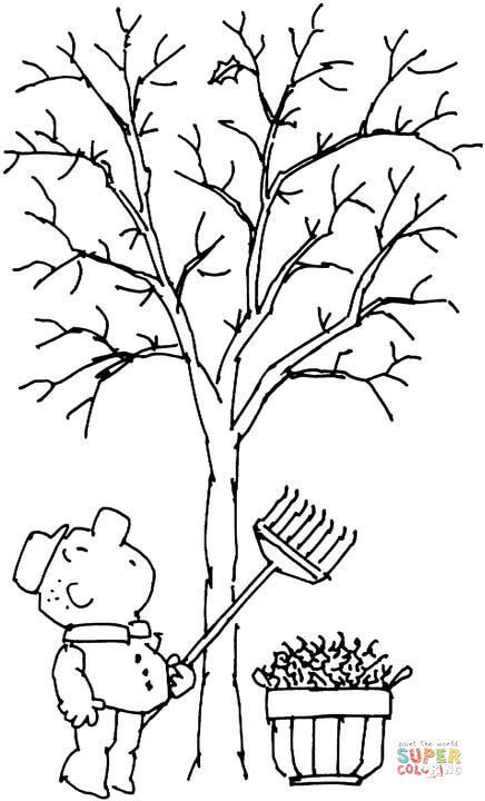 A Man Is Raking Leaves. He Noticed The Last Leaf On The Tree. Coloring Pages