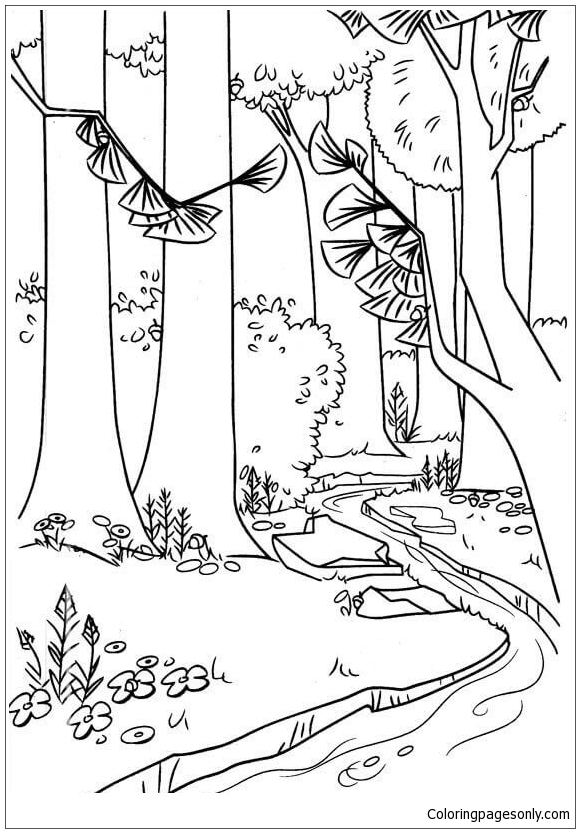 A River In The Forest Coloring Pages