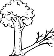 A Tree And Its Strange Shadow Coloring Pages