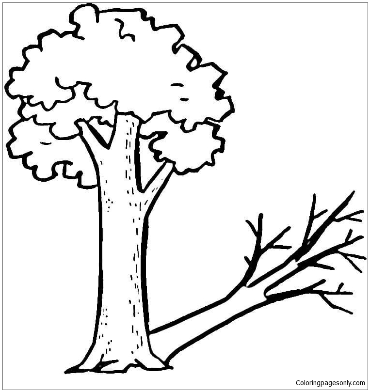 A Tree And Its Strange Shadow Coloring Page