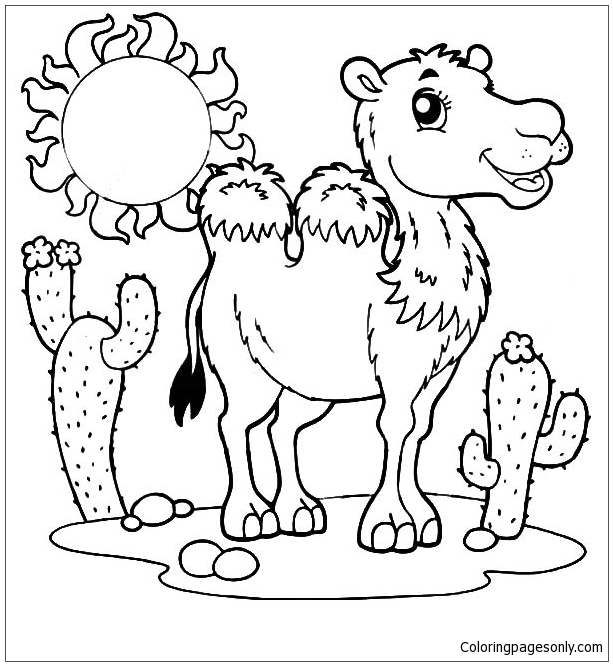 A Wild Desert Bactria Camel Coloring Pages