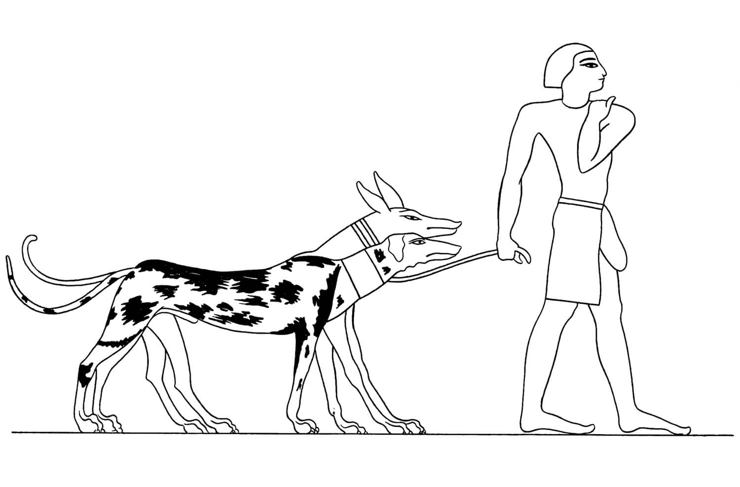 المصري القديم والبشر من الكلاب