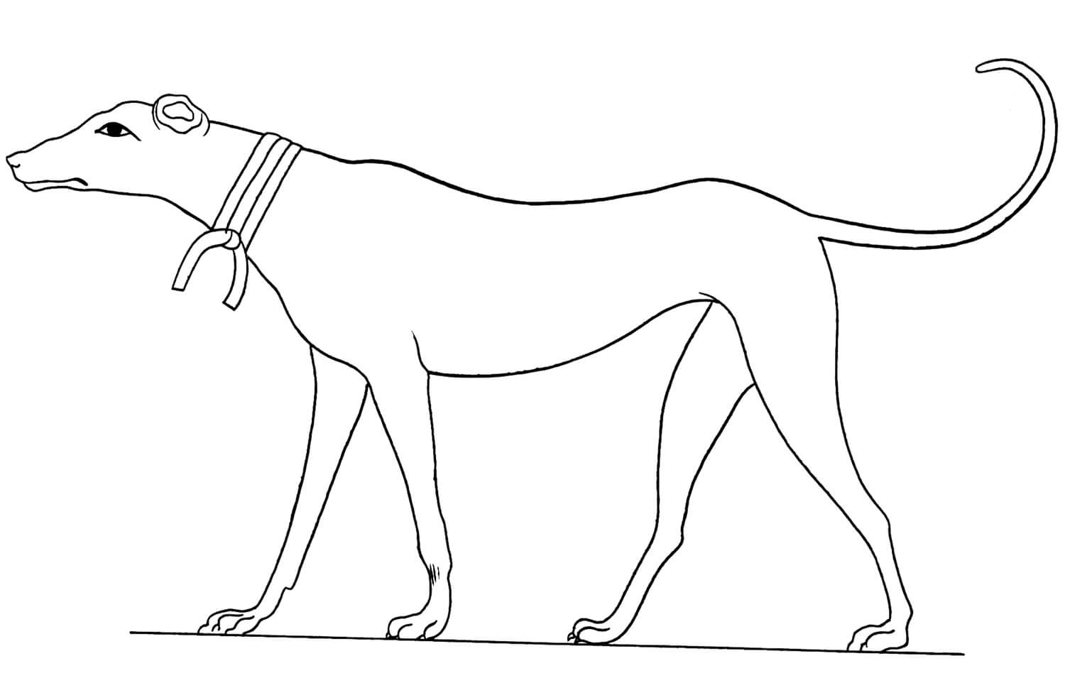 Antigo Egípcio 2 de Cães