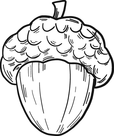 Acorn Coloring Pages
