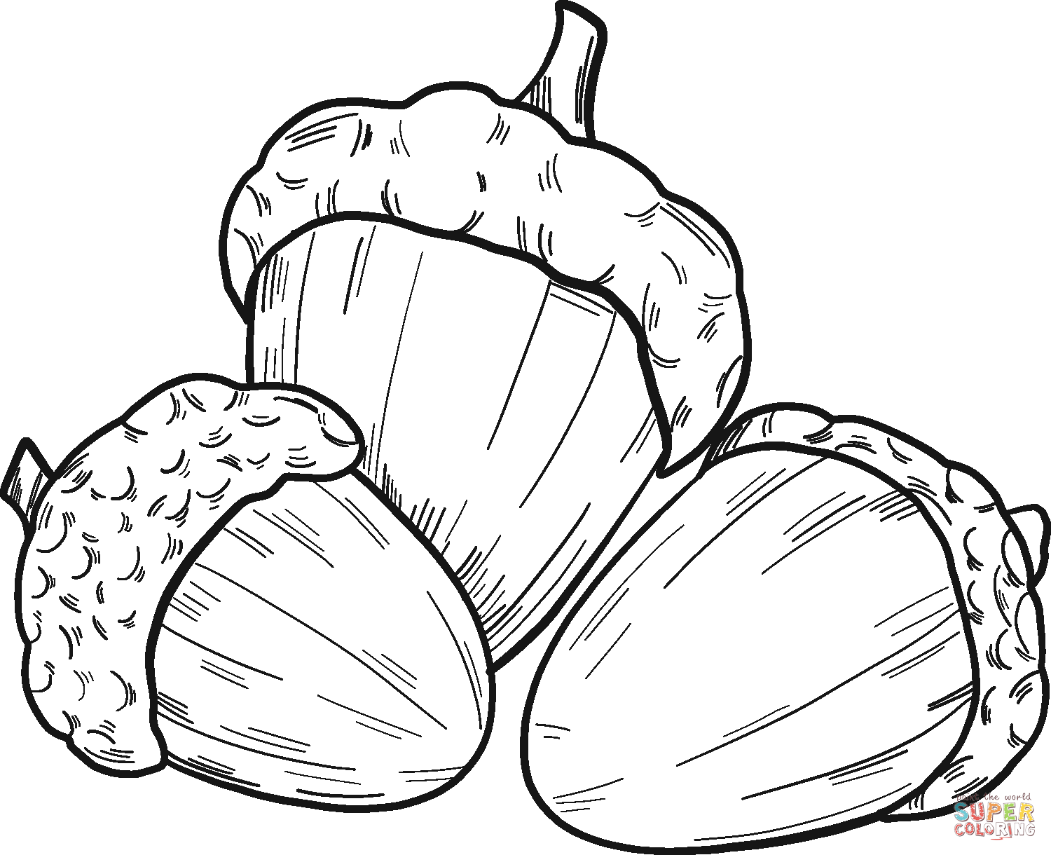 Acorns Coloring Pages   Fall Coloring Pages   Coloring Pages For ...