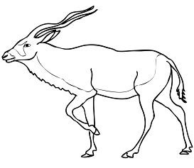 Addax Antelope Coloring Pages