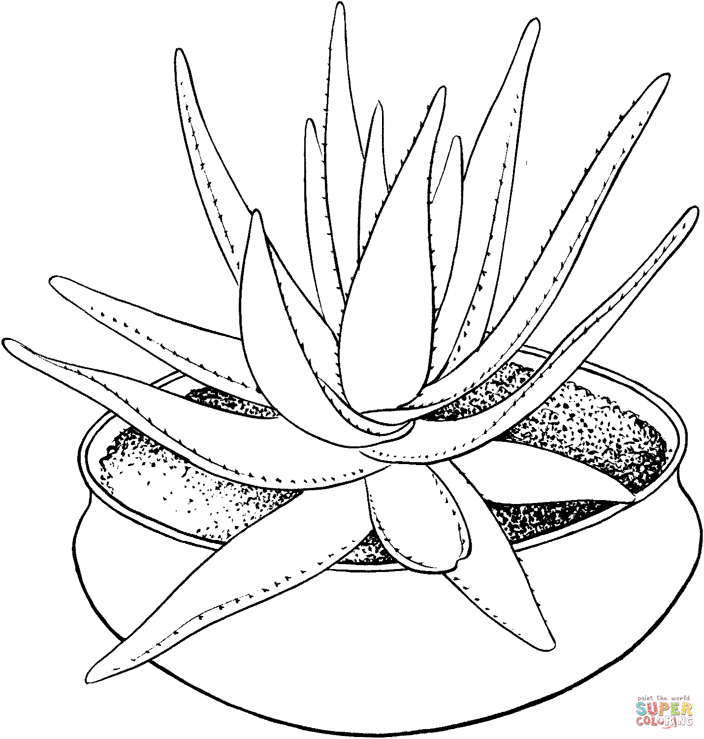 Aloe marlothii houseplant Coloring Page