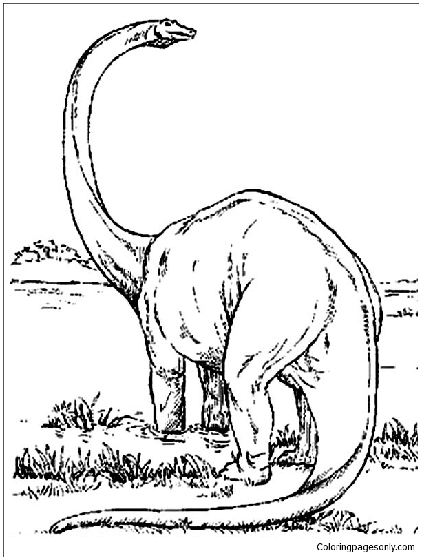 Download Amazing Dinosaurs Brachiosaurus Coloring Page - Free Coloring Pages Online