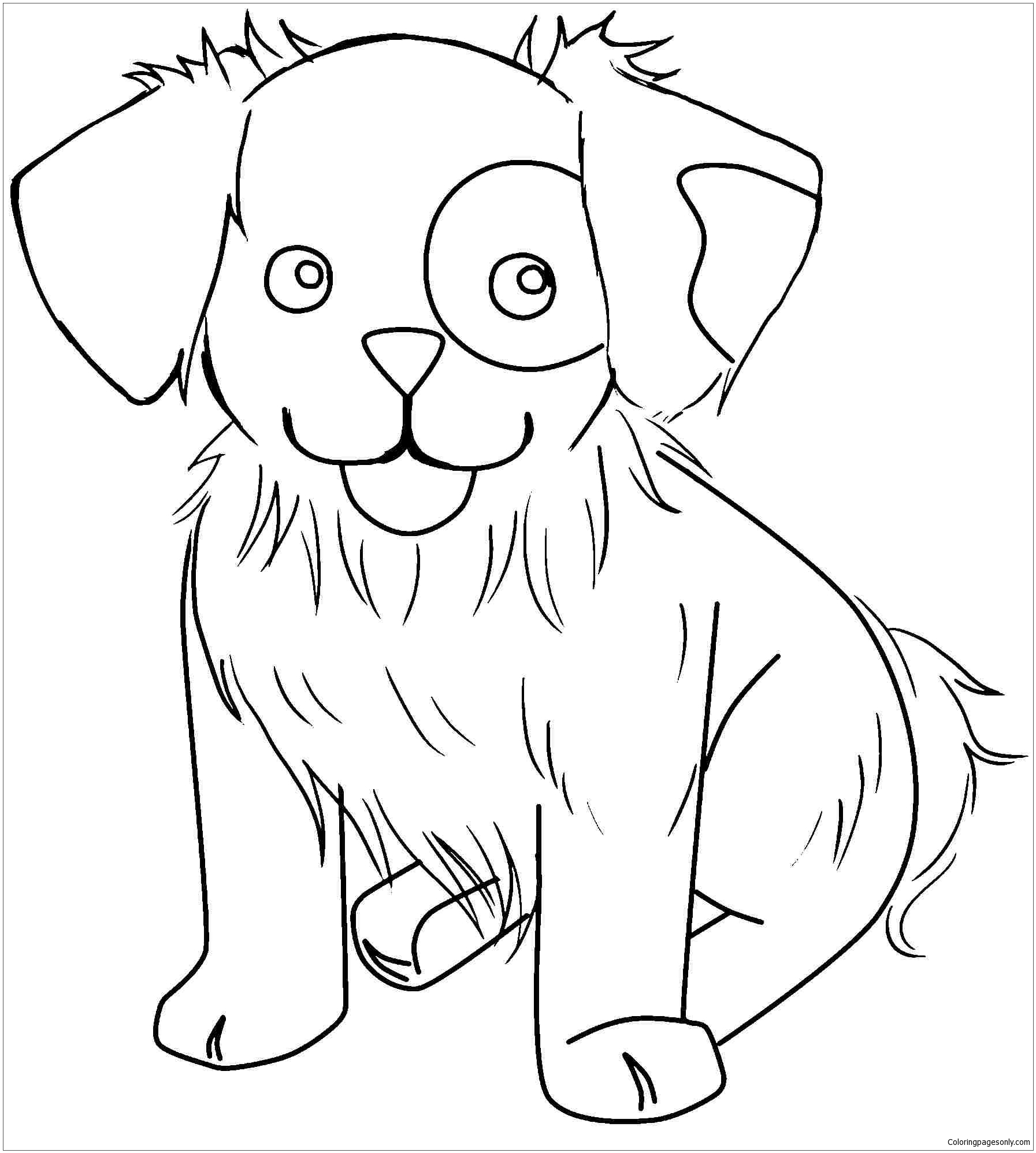 Amazing Puppy 1 Coloring Pages