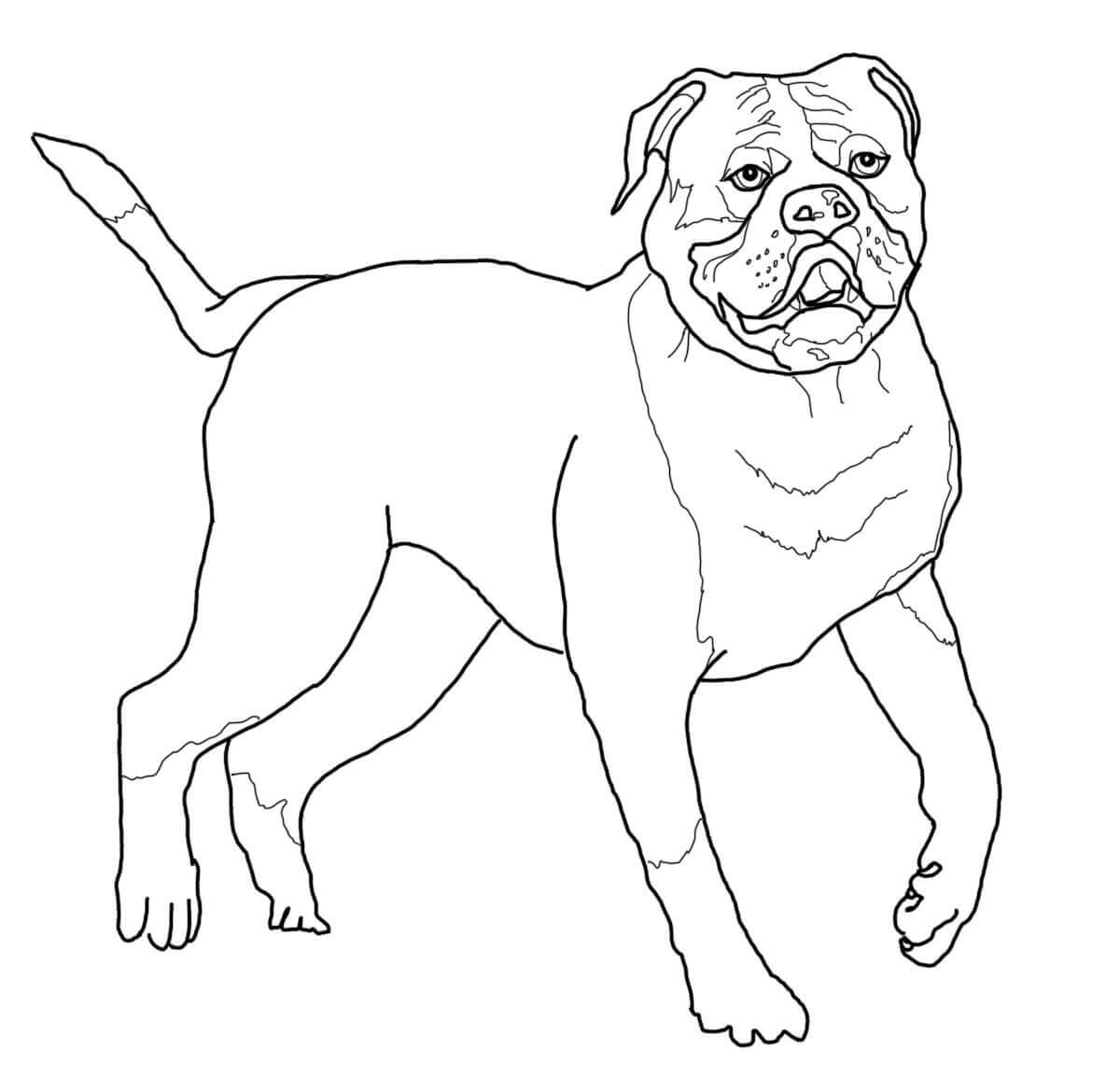 Dogs Coloring Pages Coloring Pages For Kids And Adults