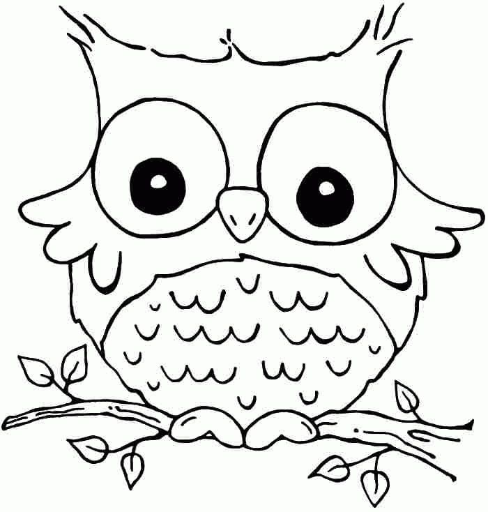 An owl Coloring Pages
