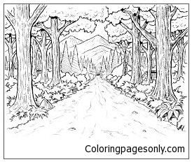 Página para Colorir Florestas Antigas