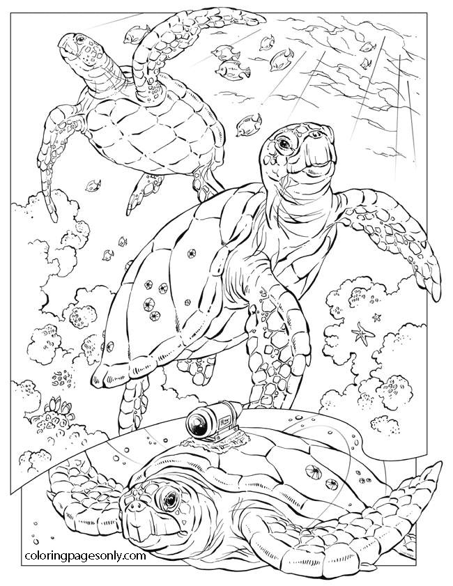 Ancient turtles under the ocean Coloring Page
