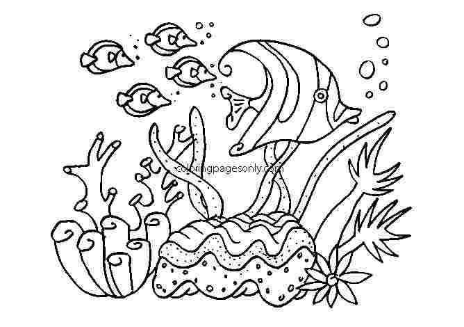 Angelfish and other fish breathes under the sea Coloring Page