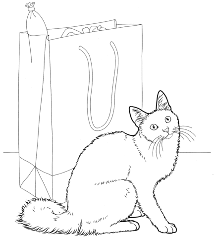 Angora Cat Coloring Pages