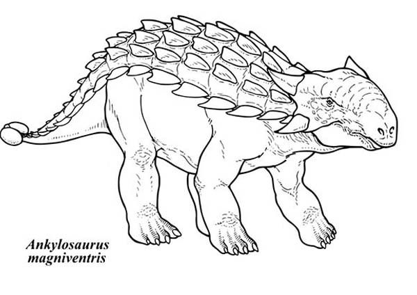Ankylosaurus Dinosaurus Magniventris Coloring Pages